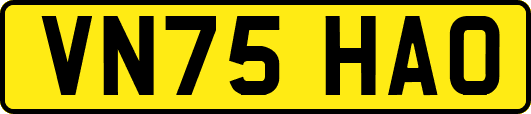 VN75HAO