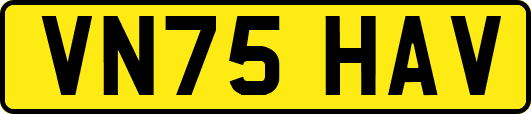 VN75HAV