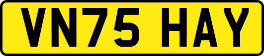 VN75HAY
