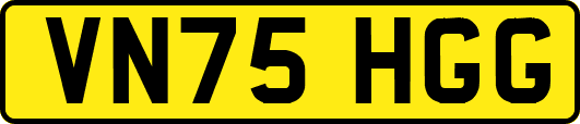 VN75HGG