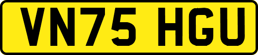 VN75HGU