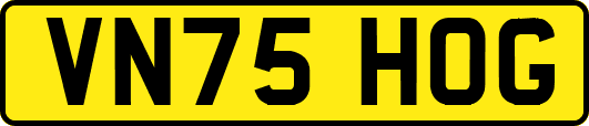 VN75HOG