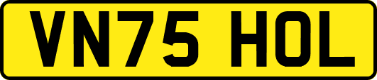 VN75HOL