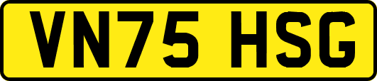 VN75HSG