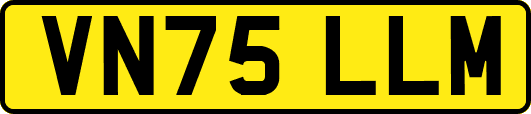 VN75LLM