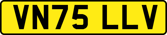 VN75LLV