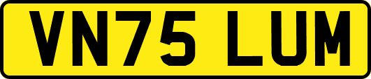 VN75LUM