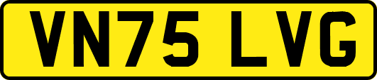 VN75LVG
