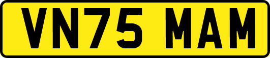 VN75MAM