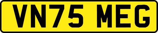 VN75MEG