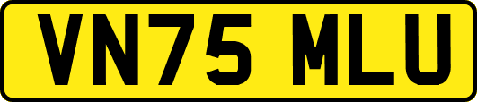 VN75MLU