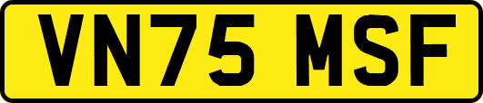 VN75MSF