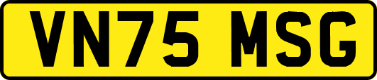 VN75MSG