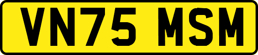 VN75MSM