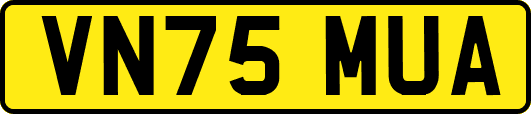 VN75MUA