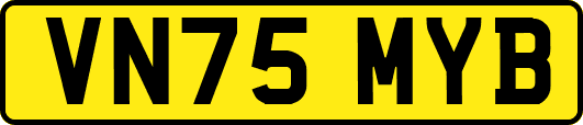 VN75MYB