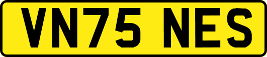 VN75NES