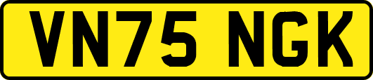VN75NGK