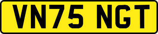 VN75NGT
