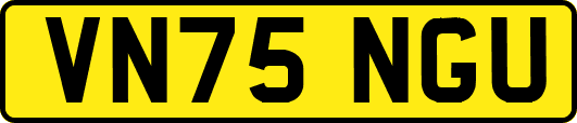 VN75NGU