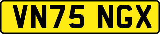 VN75NGX