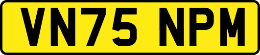 VN75NPM