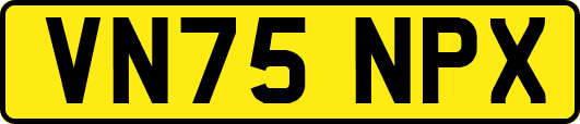 VN75NPX