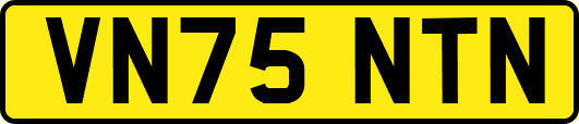 VN75NTN