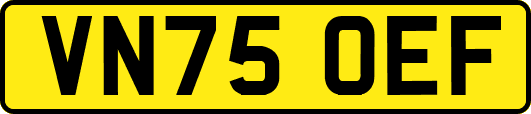VN75OEF