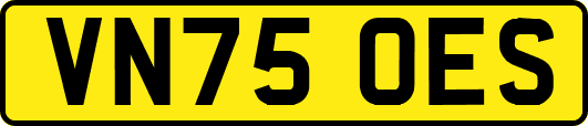 VN75OES