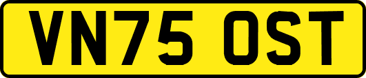 VN75OST