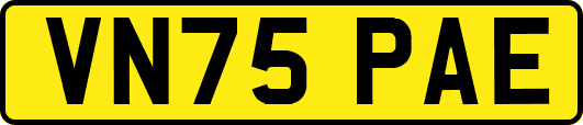 VN75PAE