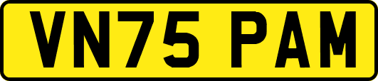 VN75PAM