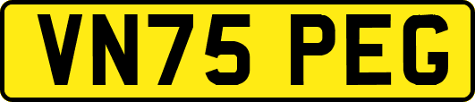 VN75PEG