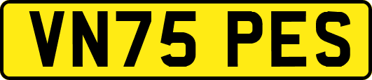 VN75PES