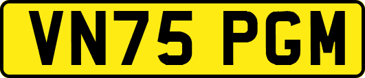 VN75PGM