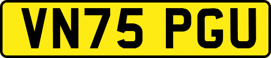 VN75PGU
