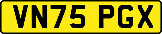 VN75PGX