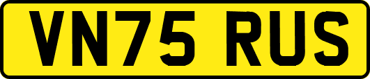 VN75RUS
