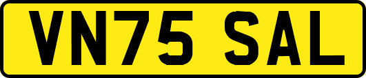 VN75SAL