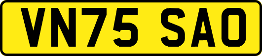 VN75SAO