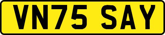 VN75SAY