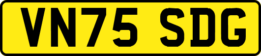 VN75SDG