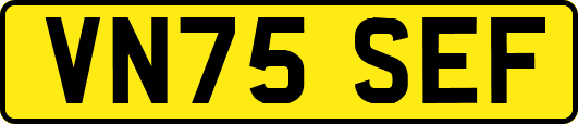 VN75SEF