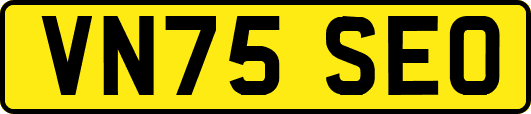 VN75SEO
