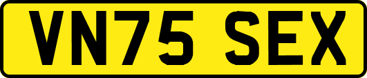 VN75SEX