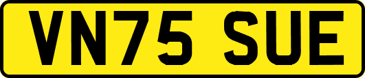VN75SUE