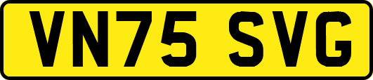 VN75SVG