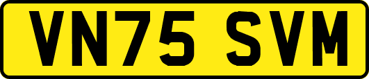 VN75SVM