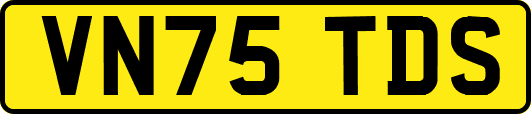 VN75TDS